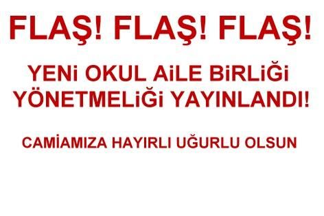 YENİ OKUL AİLE BİRLİĞİ YÖNETMELİĞİ